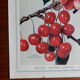 Ancienne affiche sur les cerises