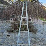 Wooden picking ladder