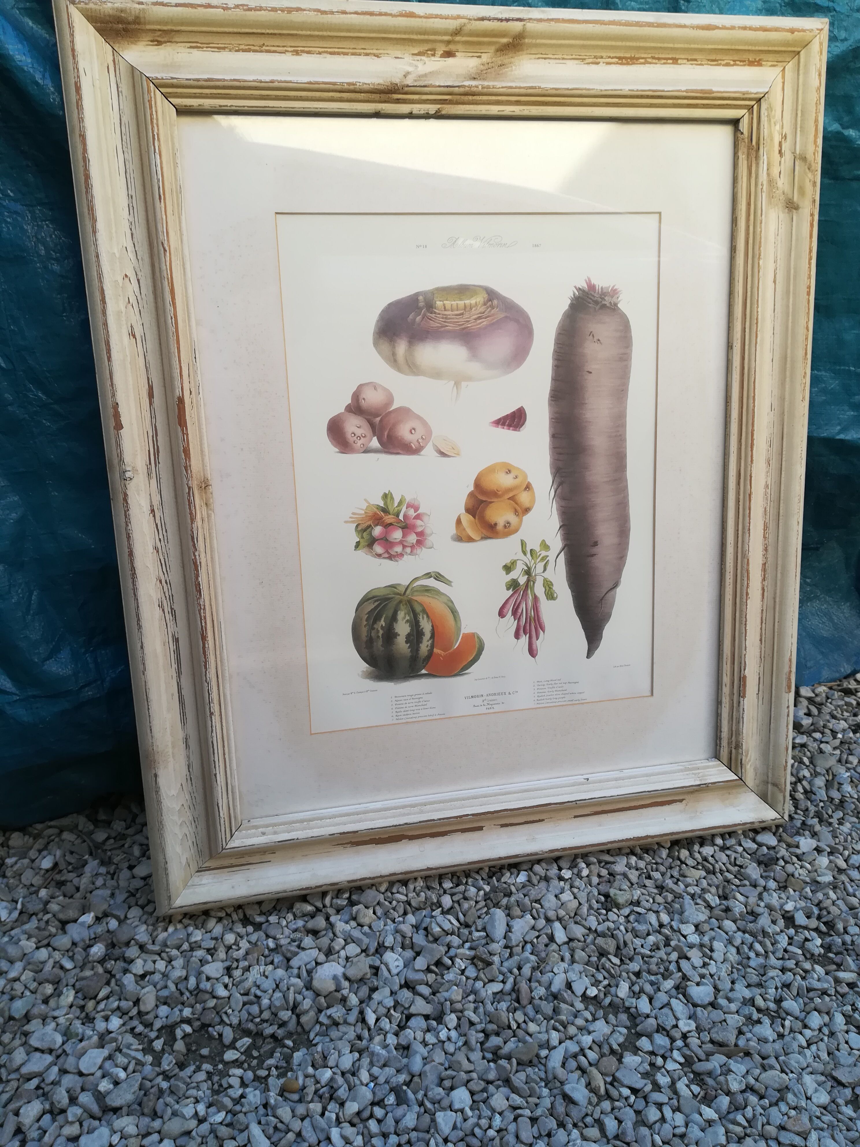 Framed botanical plank, vegetables
