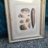 Framed botanical plank, vegetables