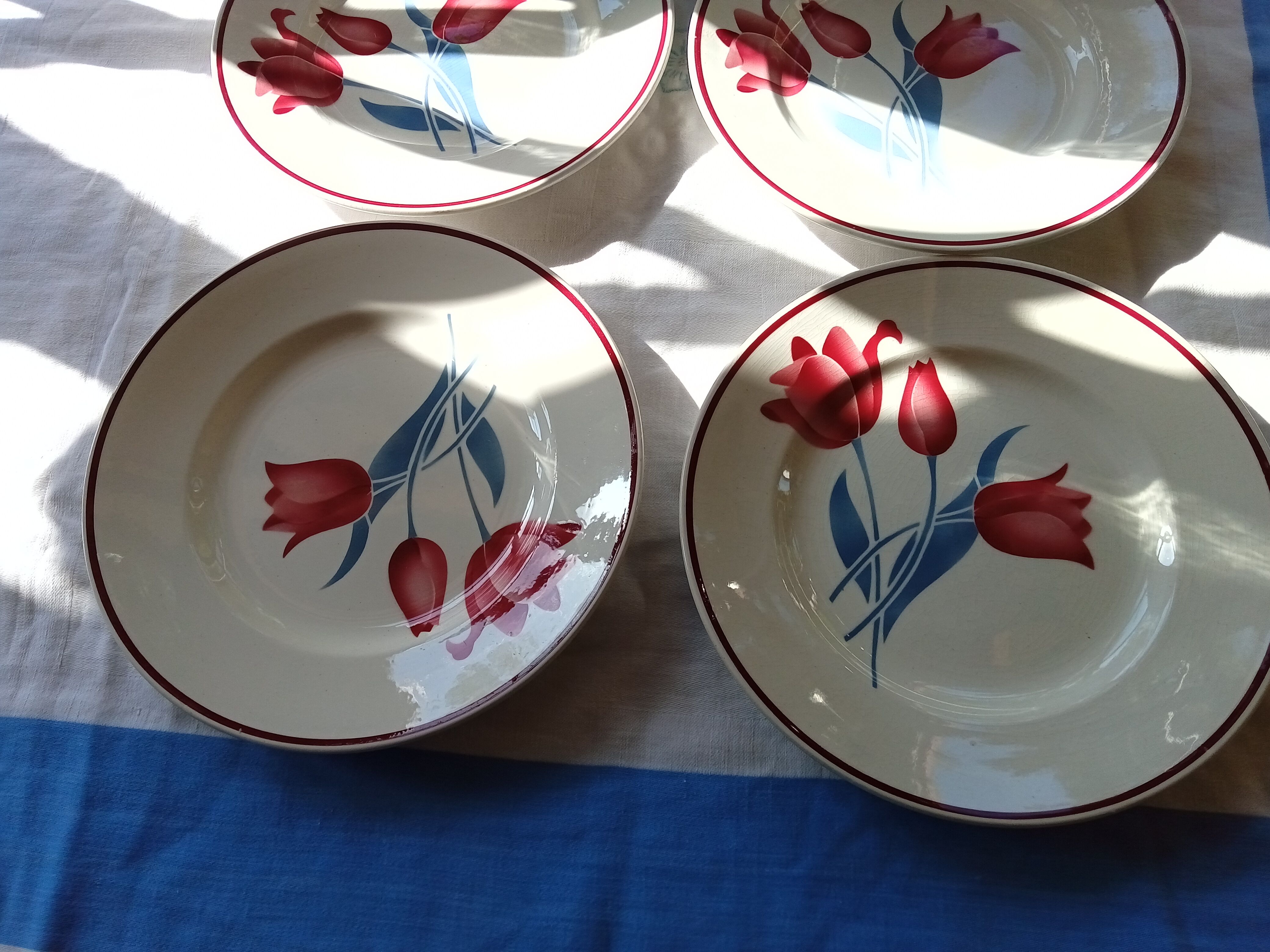 6 Terre de Fer flat plates