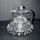 Antique cheese dome on a diamond moulded crystal stand, 1920, marked registered.