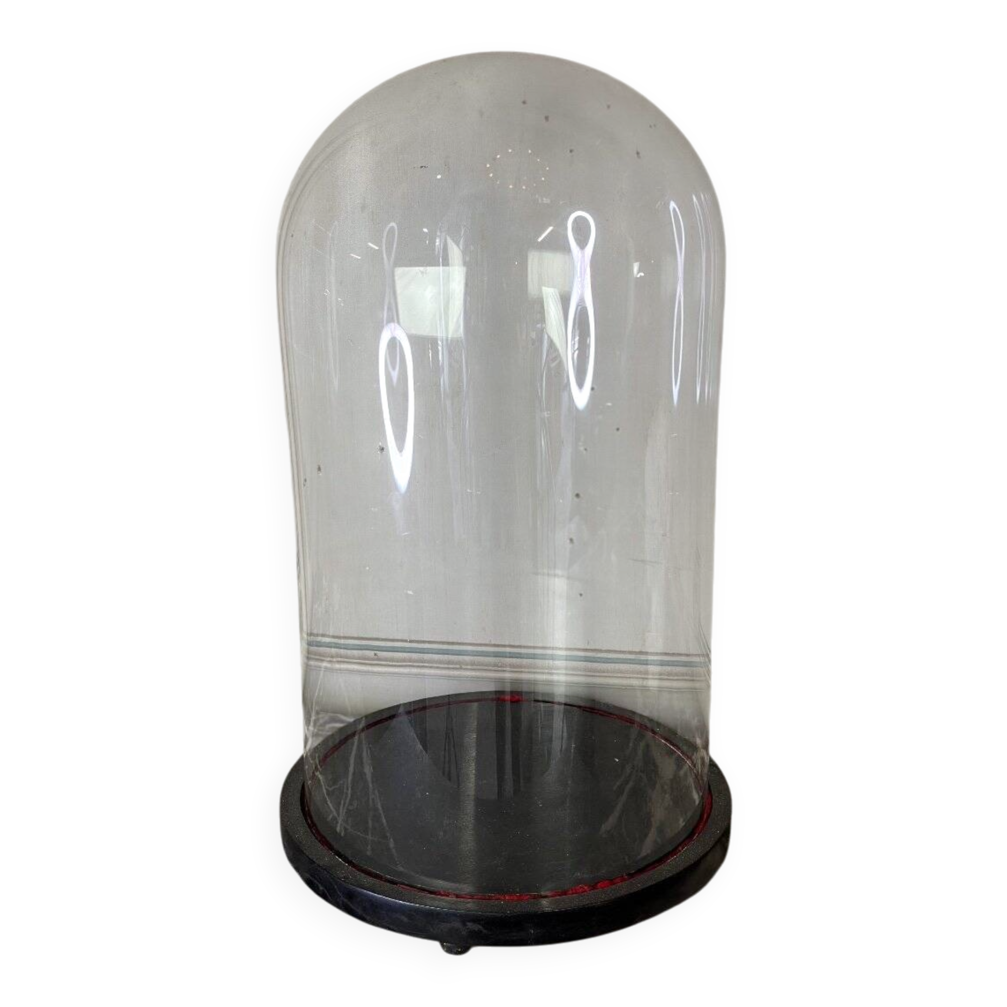 Glass globe on its blackened wooden base, around 1880.