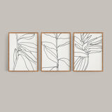 Set of 3 giclee prints. Botanical series