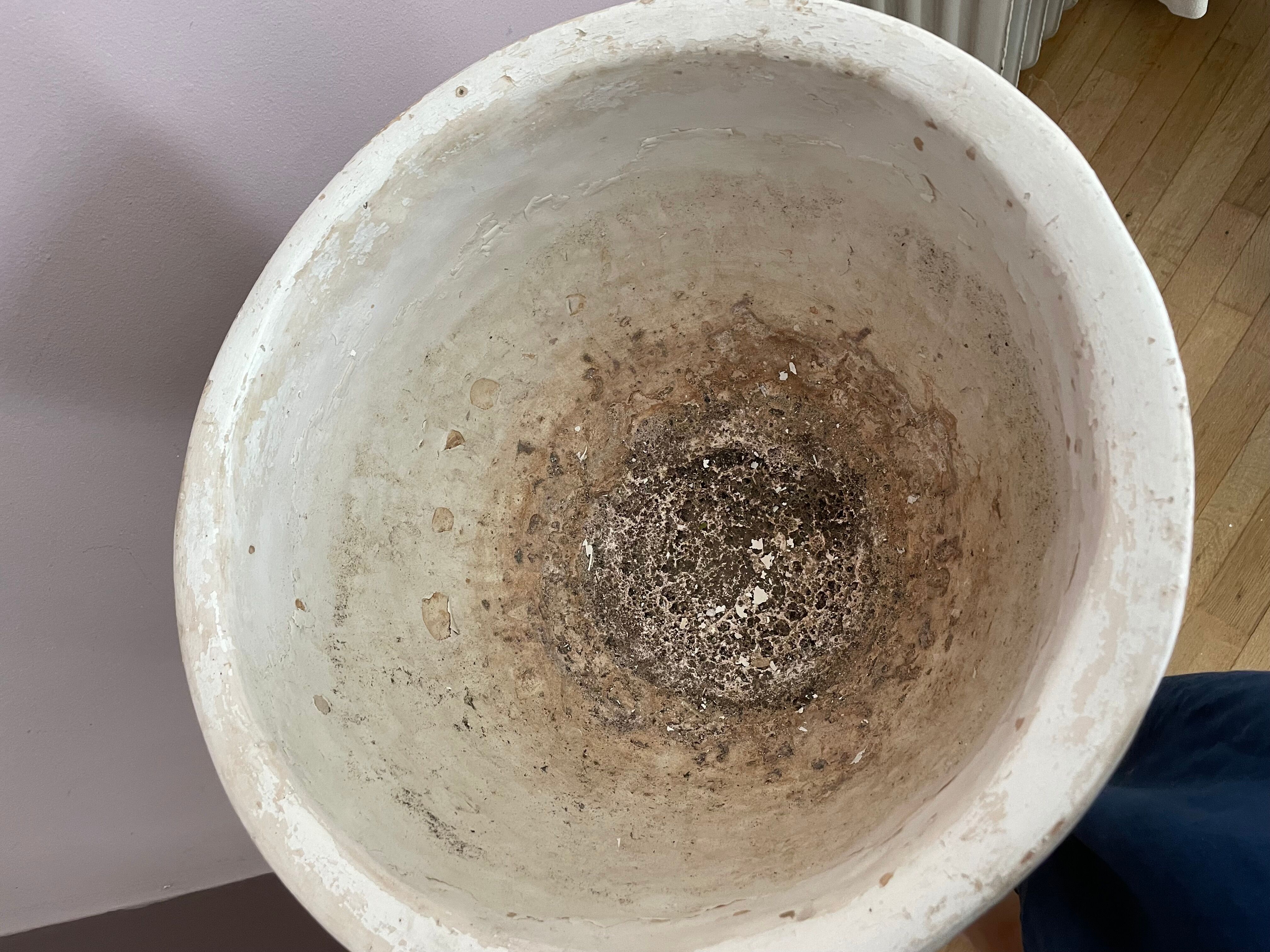 Plant holder plaster column
