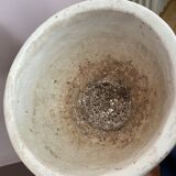 Plant holder plaster column