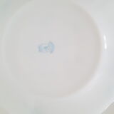 6 flat plates Myosotis veronica Arcopal