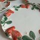 Longchamp antique strawberry barbotine plates