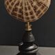Cabinet of Curiosities sea urchin toxopneustes pileolus on base