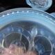 3 dessous de bouteille en verre moulé pressé opalescent bleuté