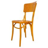 Mid Century Modern Dining Room Zebra Wood Chairs, set of six, Italy 1950s