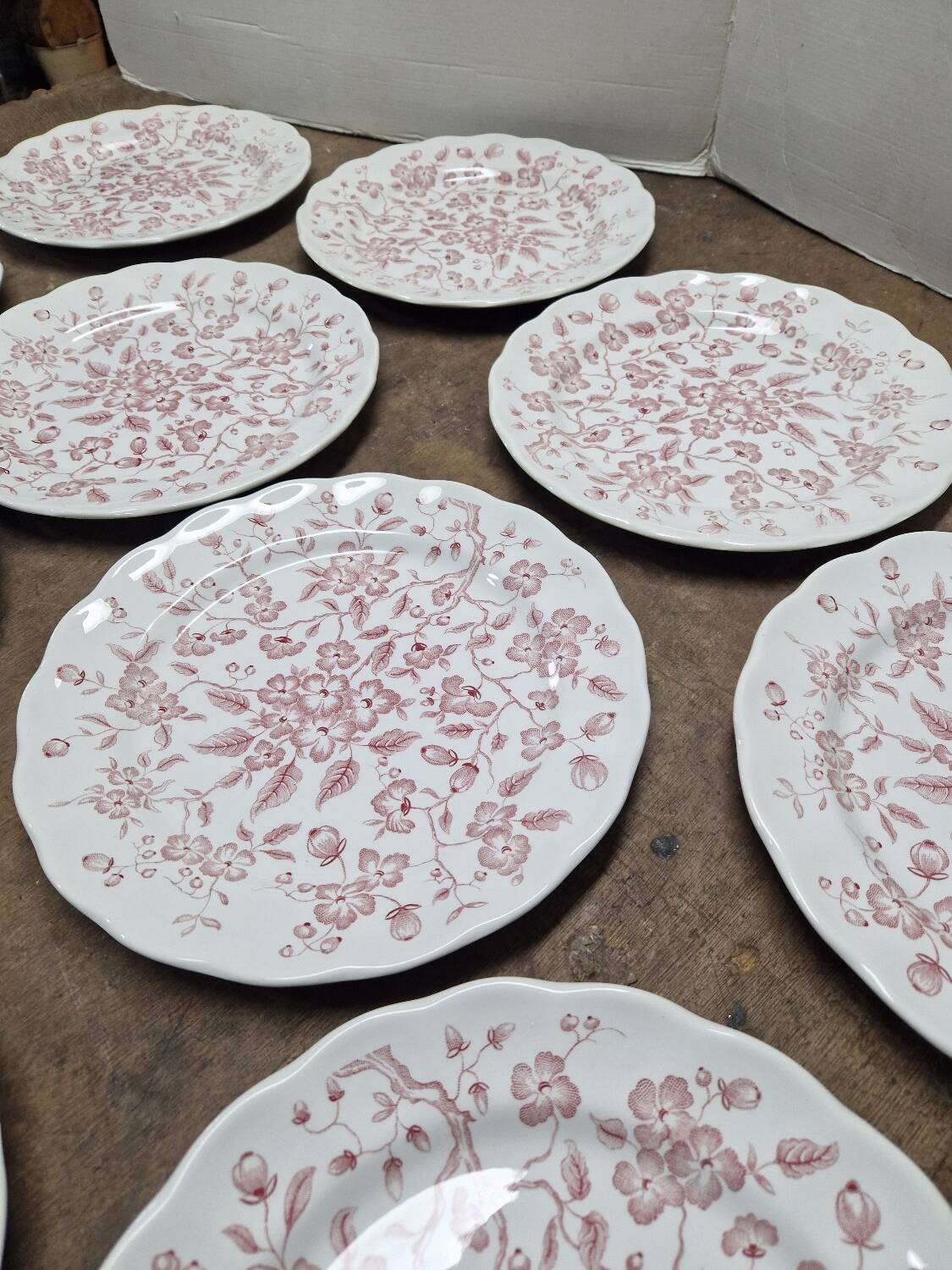Set of 11 flat plates Nuova Fontebasso Made in Italy Floral pattern