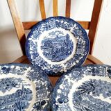 Set of 3 plates palissy