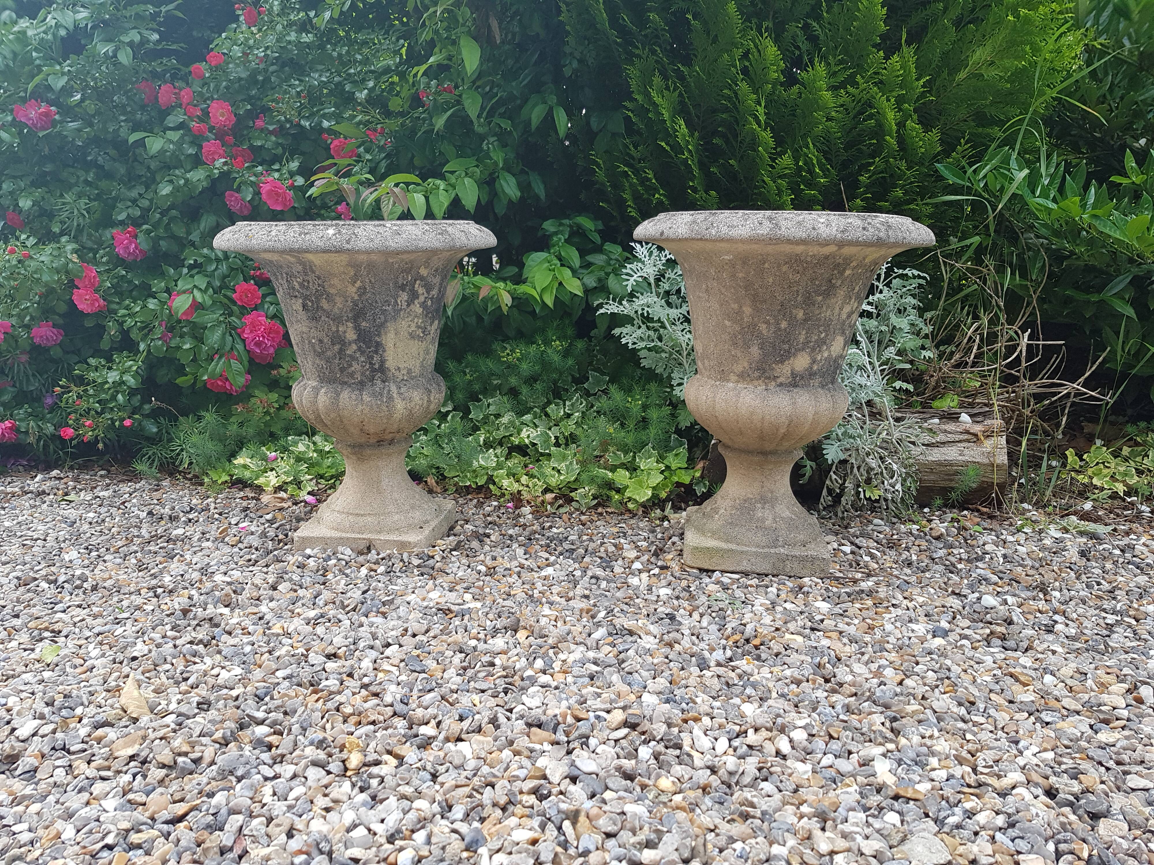 Paire de vases Médicis