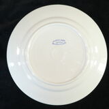 12 flat plates badonviller décor blue flower no digoin nº1