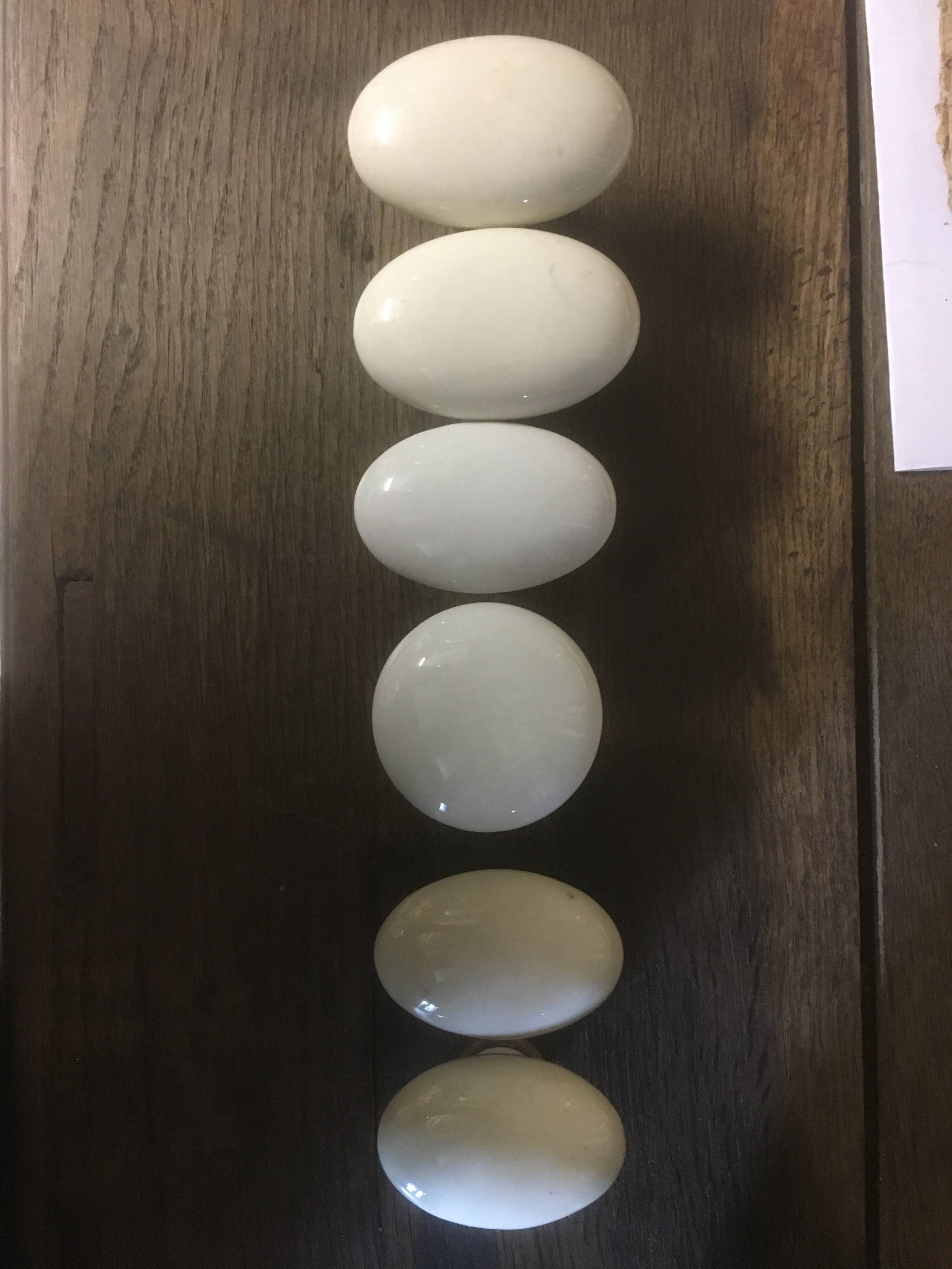 Porcelain door handles