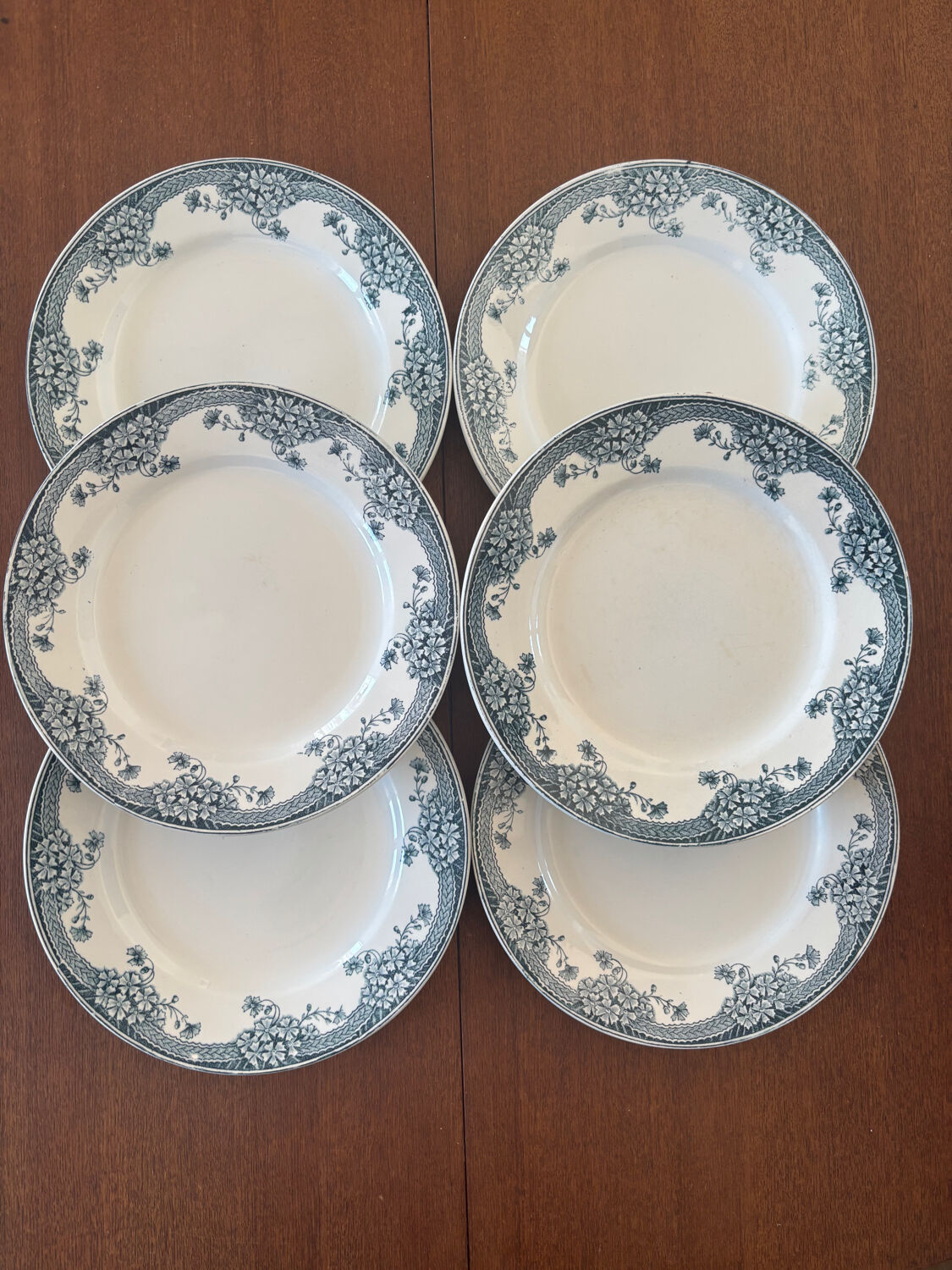 Set of 6 Saint-Amand Ironstone Plates Model Suzanne | Vaisse