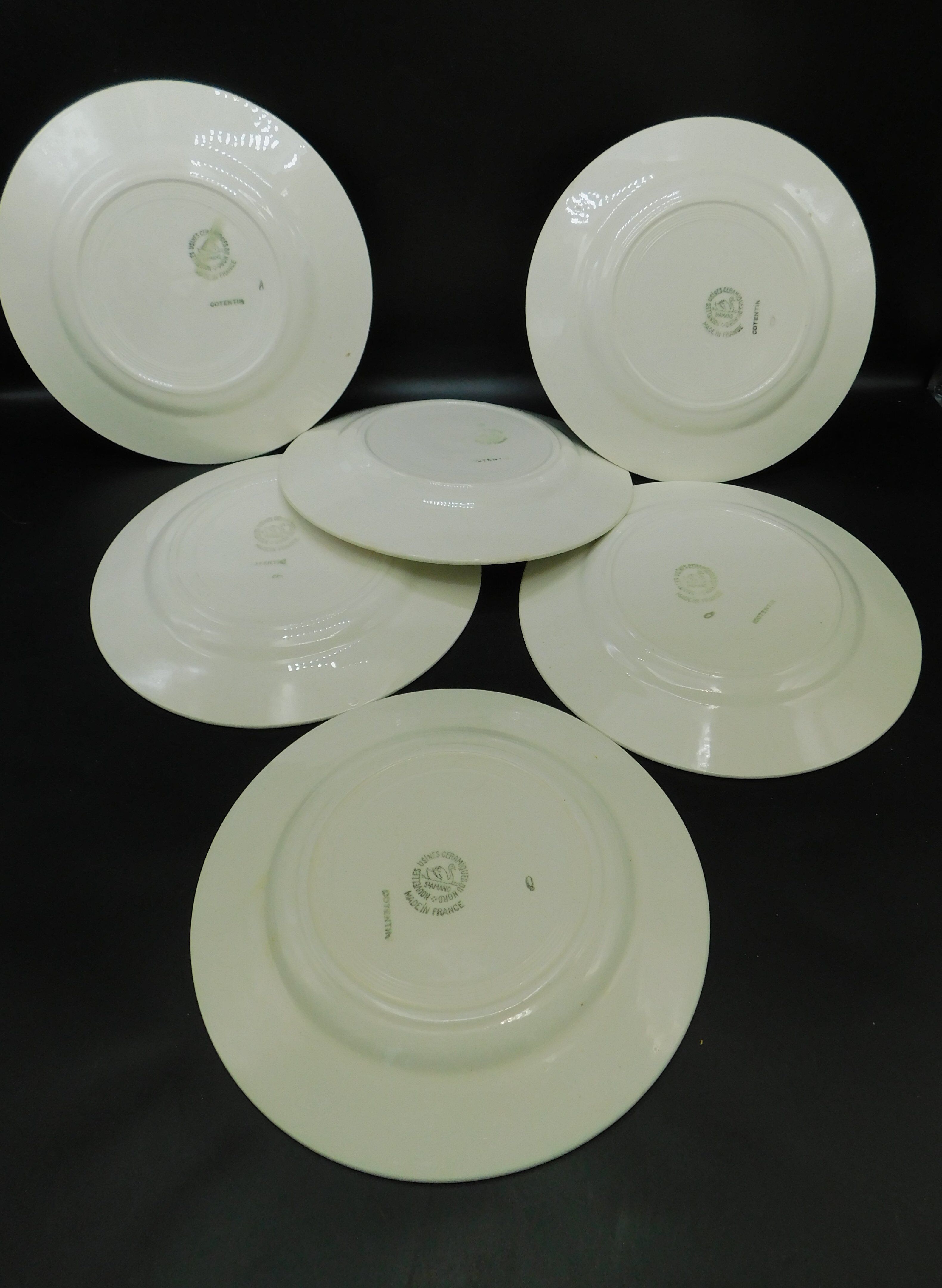 6 flat plates Saint-Amand Céranord - Cotentin