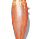 Vase legras années 1920