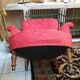Fauteuil Napoléon lll