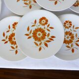 6 dessert plates & 1 pie dish from the 1970s 210194