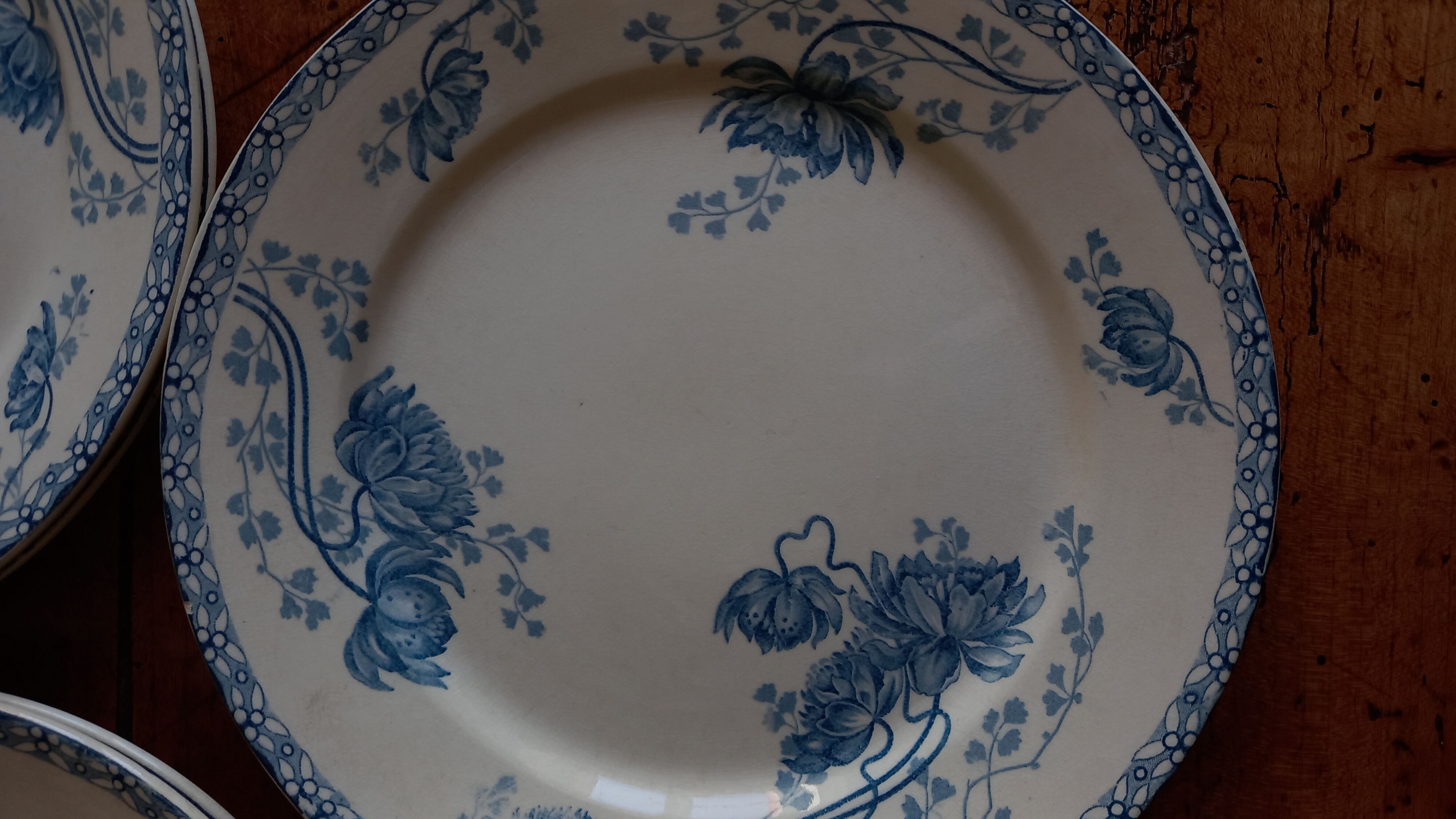 6 flat plates Sarreguemines Utzschneider & Cie model Royat