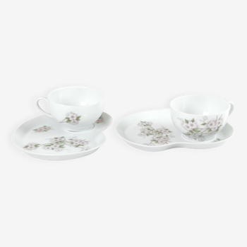 Duo of ancient lunch “limoges porcelain”