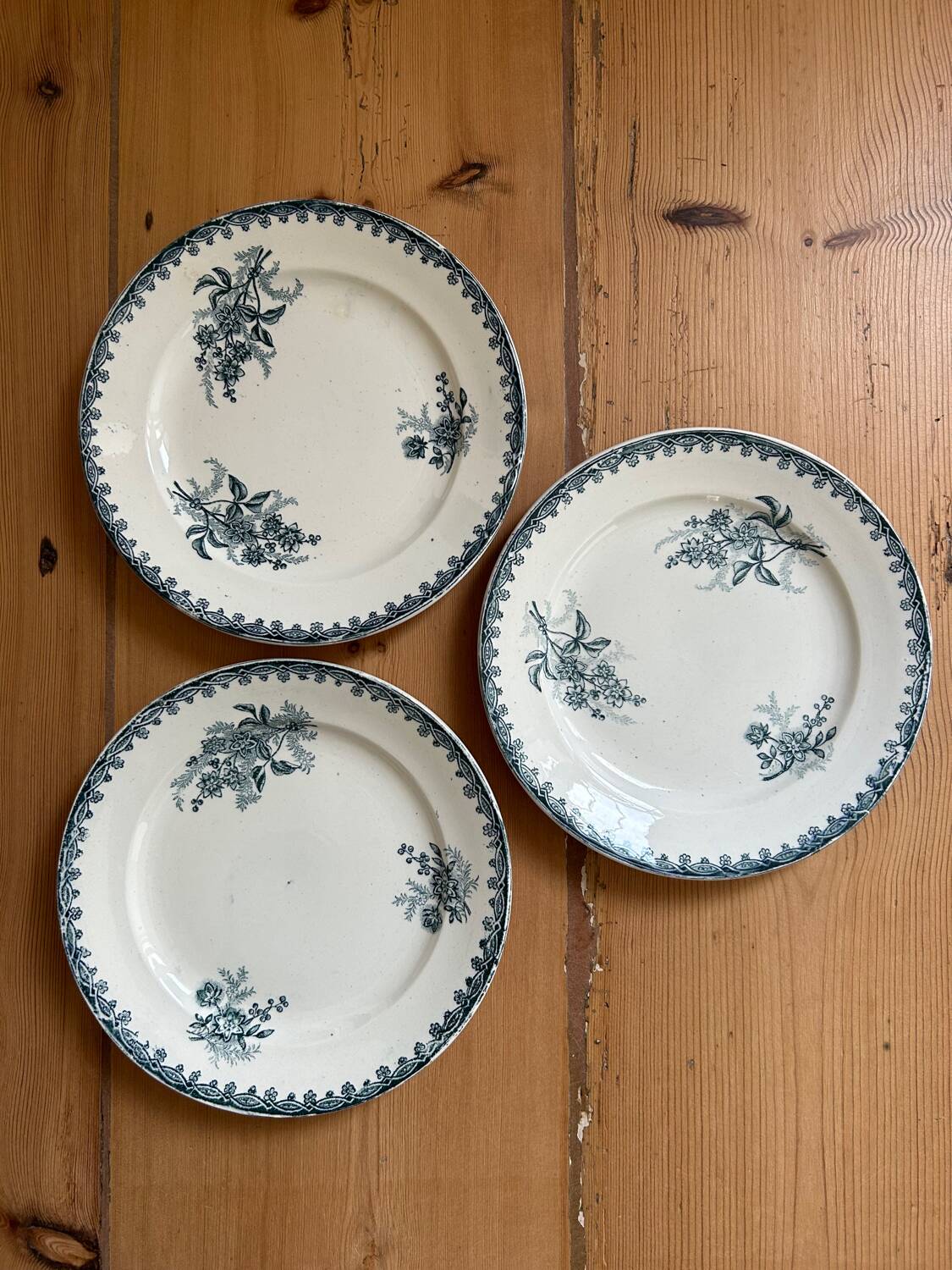 Series of 3 old flat plates “Terre de Fer”