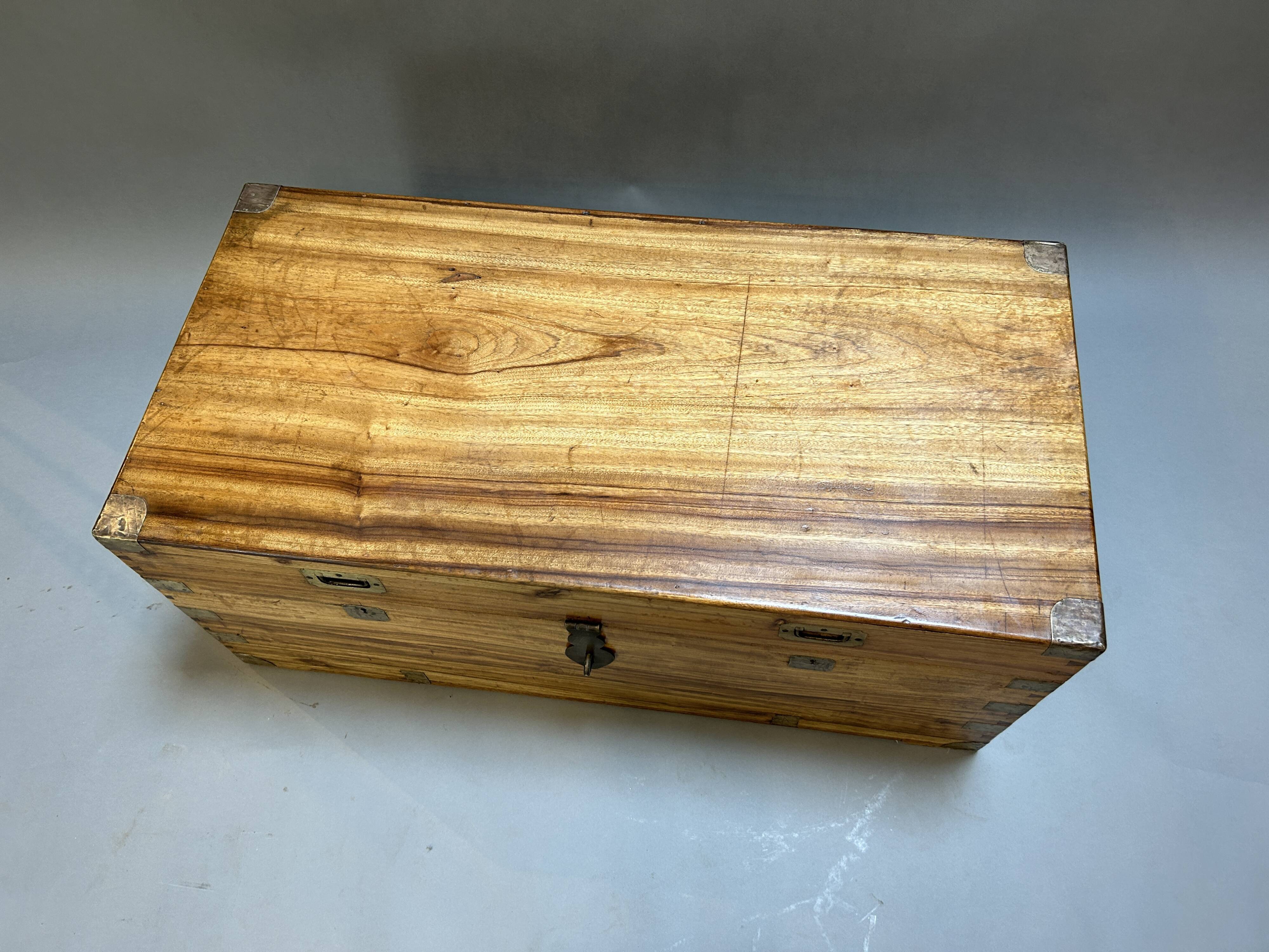 Campaign Camphor Trunk