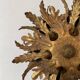 Banci Florence ceiling light foliage 6 lights