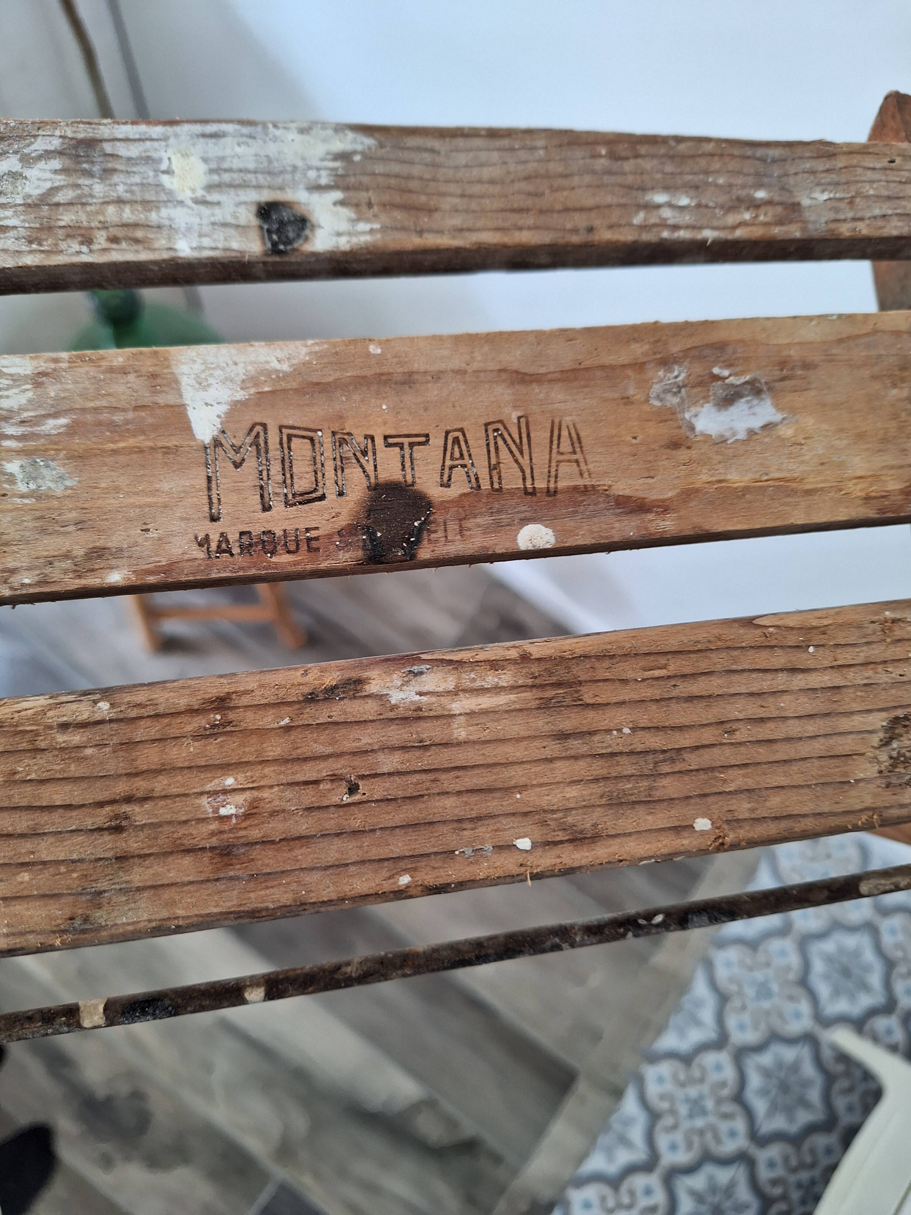 Montana painter's stepladder