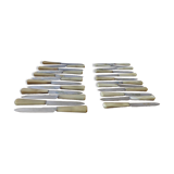 Box of 24 knives