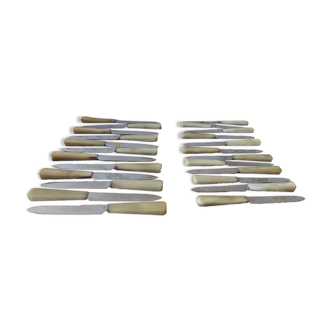 Box of 24 knives