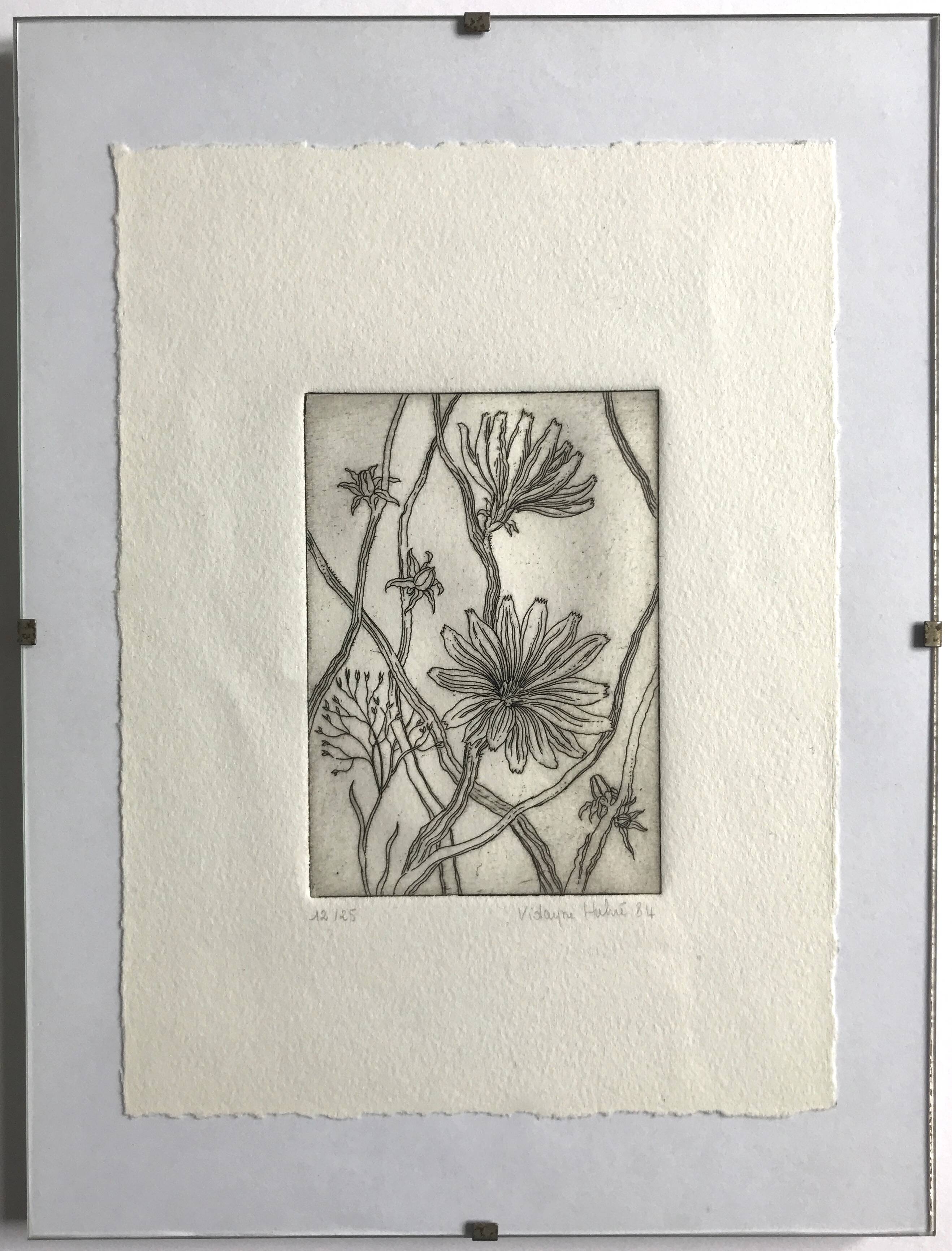 Vilayne hulné, study of clematis, 1984. original etching signed in pencil
