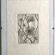 Vilayne hulné, study of clematis, 1984. original etching signed in pencil