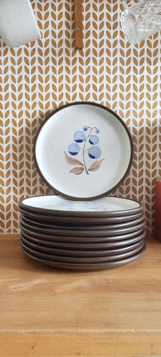 Vintage stoneware plates illustration of currants hand-painted