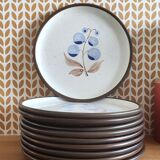 Vintage stoneware plates illustration of currants hand-painted