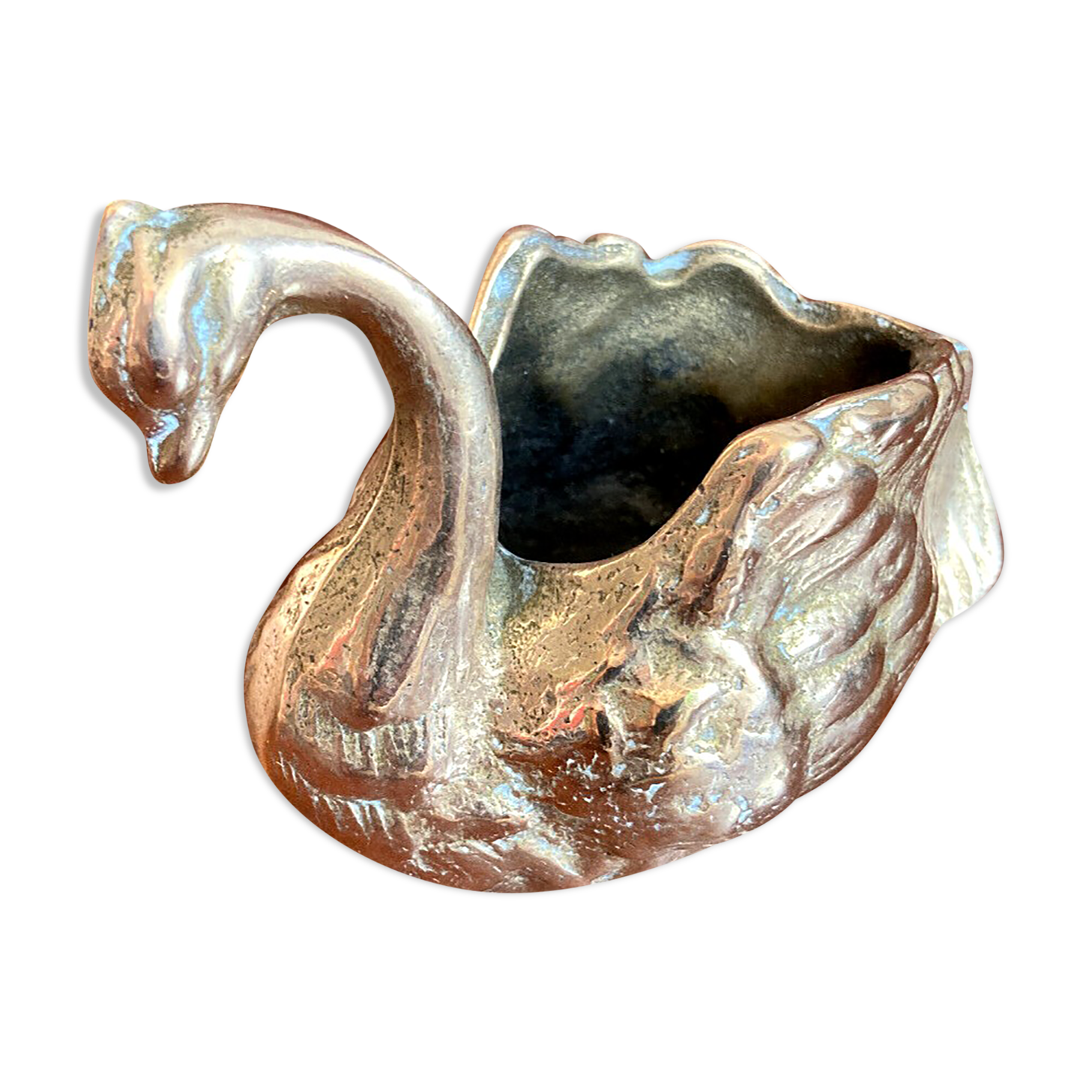 Empty pocket - bronze swan