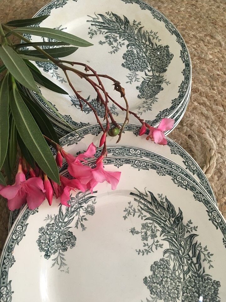 Flat plates "Daisy" Saint Amand