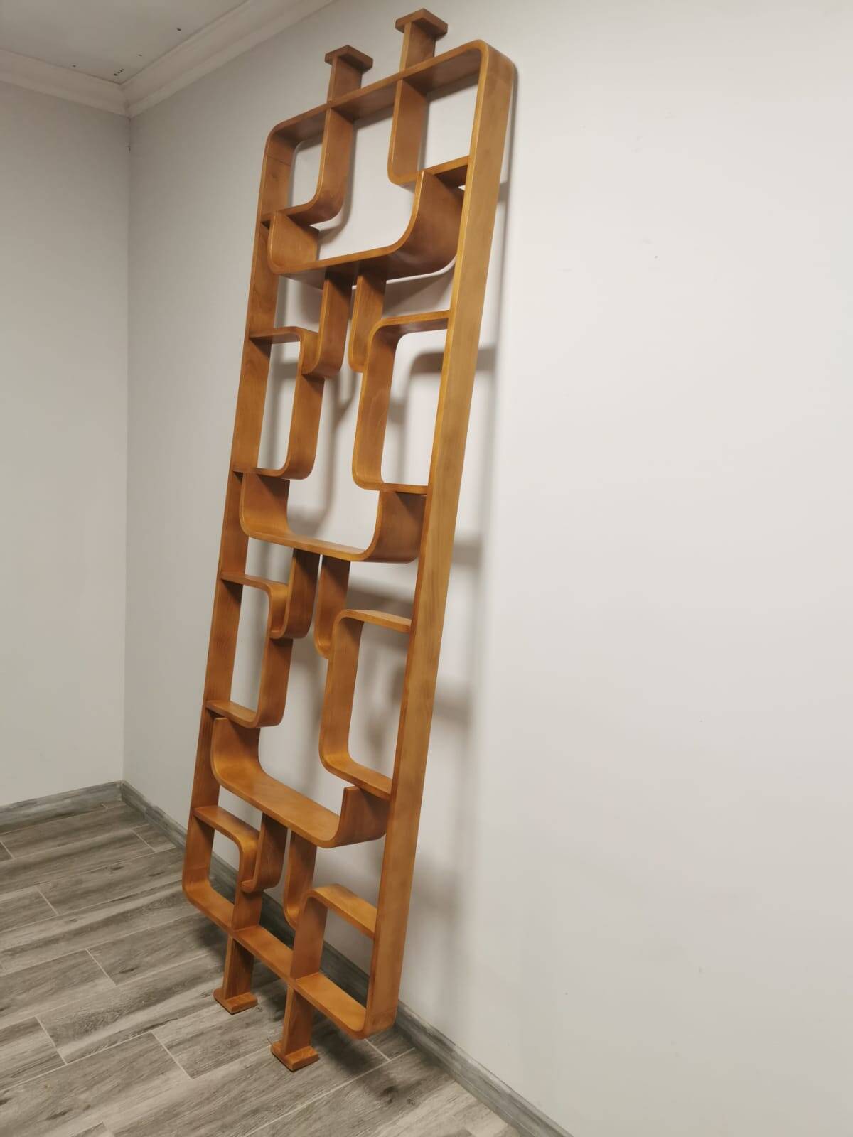 Room Dividers by Ludvik Volak for Drevopodnik Holesov, 1950s, Set of 2