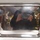 Antique silver-plated service tray – Classic style