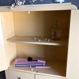 Weathered toilet cabinet