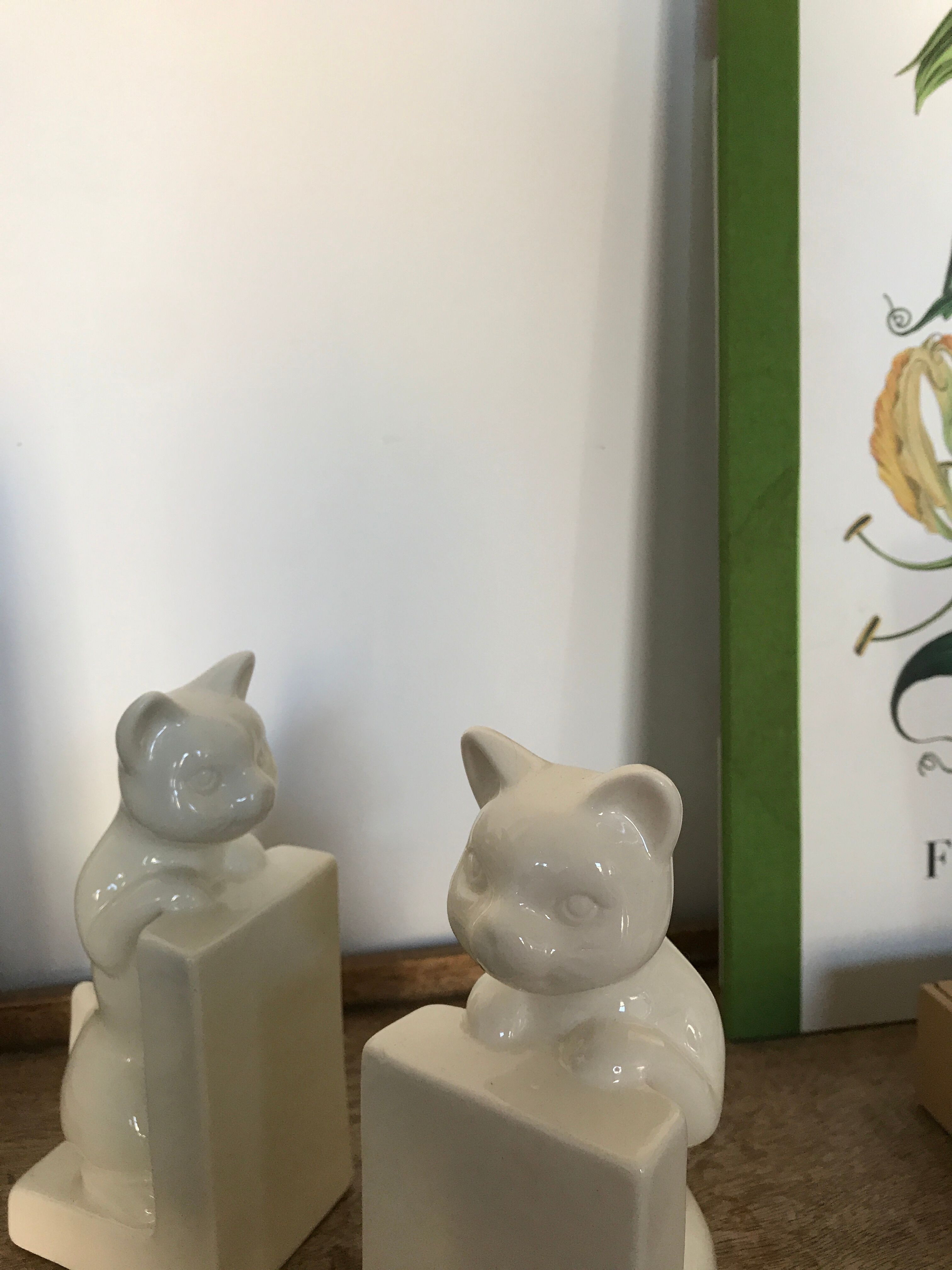 Pair of greenhouses book cat