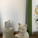 Pair of greenhouses book cat