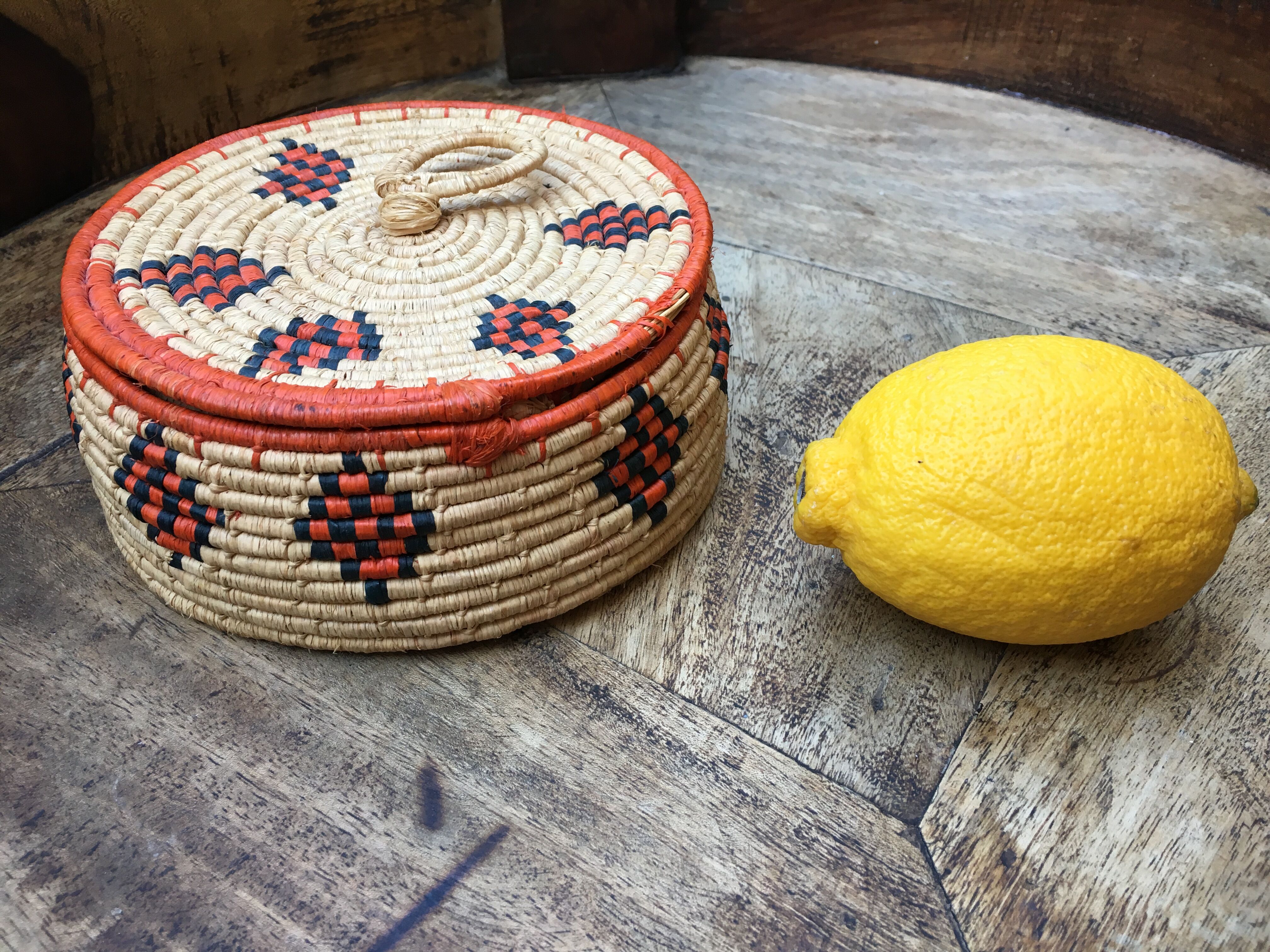 African lidbox and raffia cockroaches