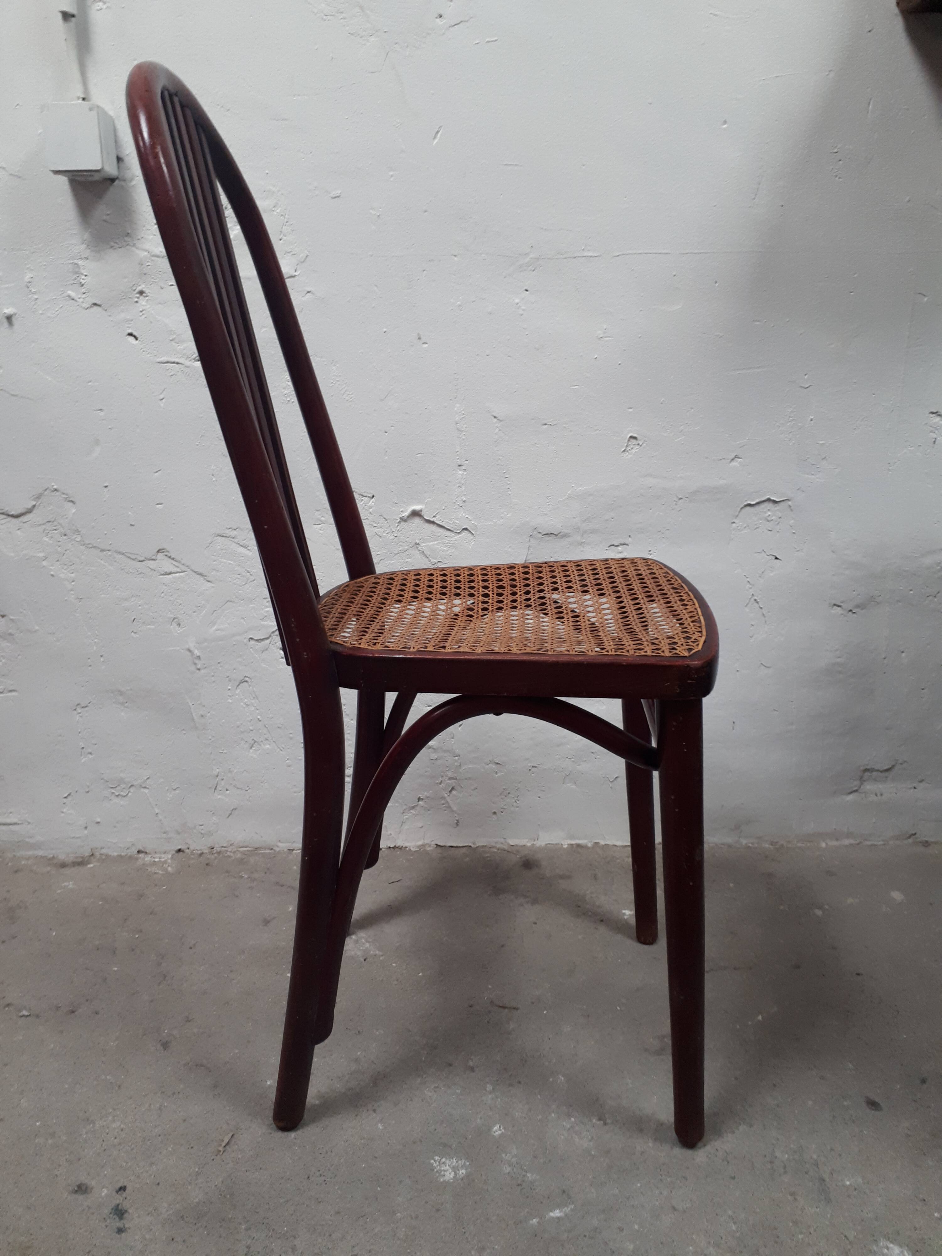 Pair of chair Thonet, 1900