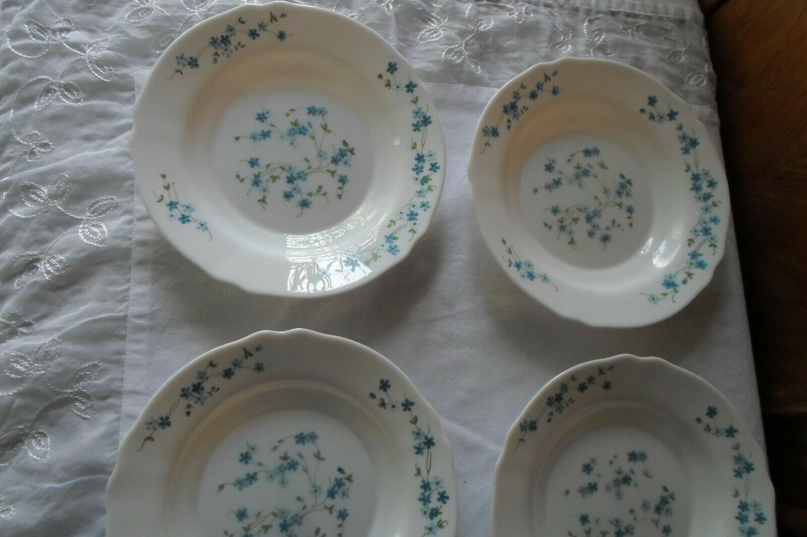 6 plates Veronica hollow blue flowers myosotis arcopal