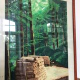 Tableau, dessin encadré sur le thème de la forêt
