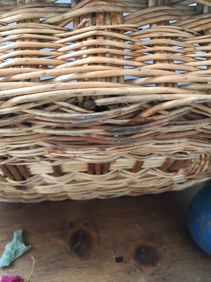 Former twisted wicker basket