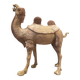 Large camel with traces of polychromy.